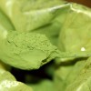 Bột rau má xanh sấy lạnh 1 kg ( Pennywort powder )